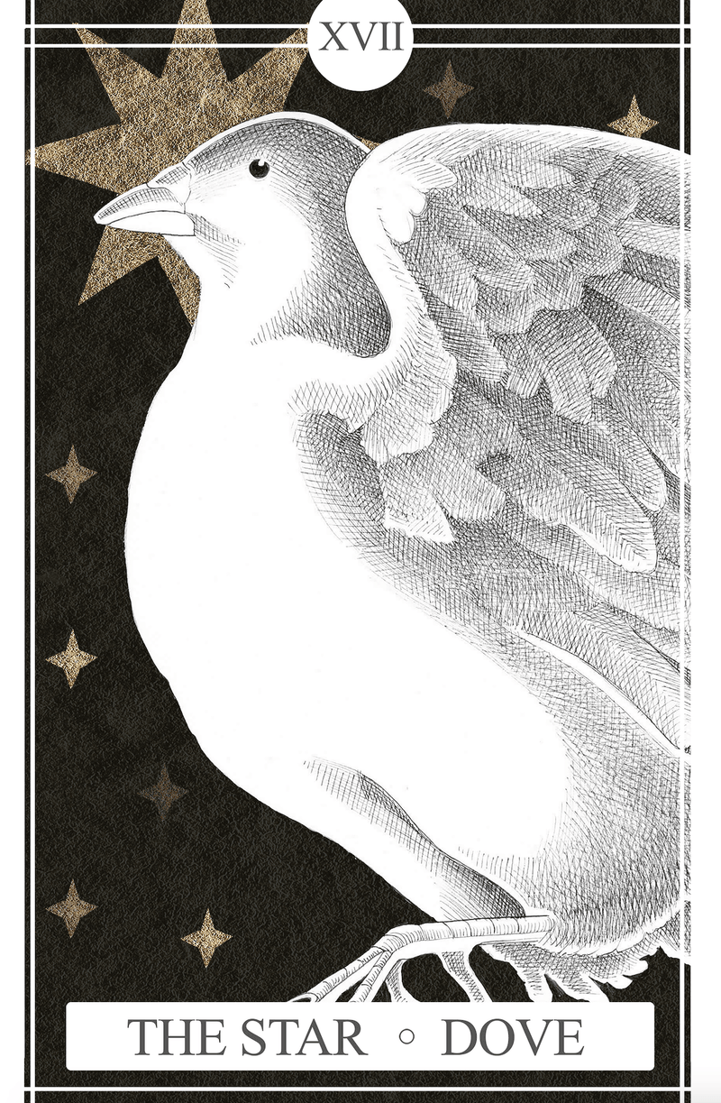 XVII The Star | Dove (Print)