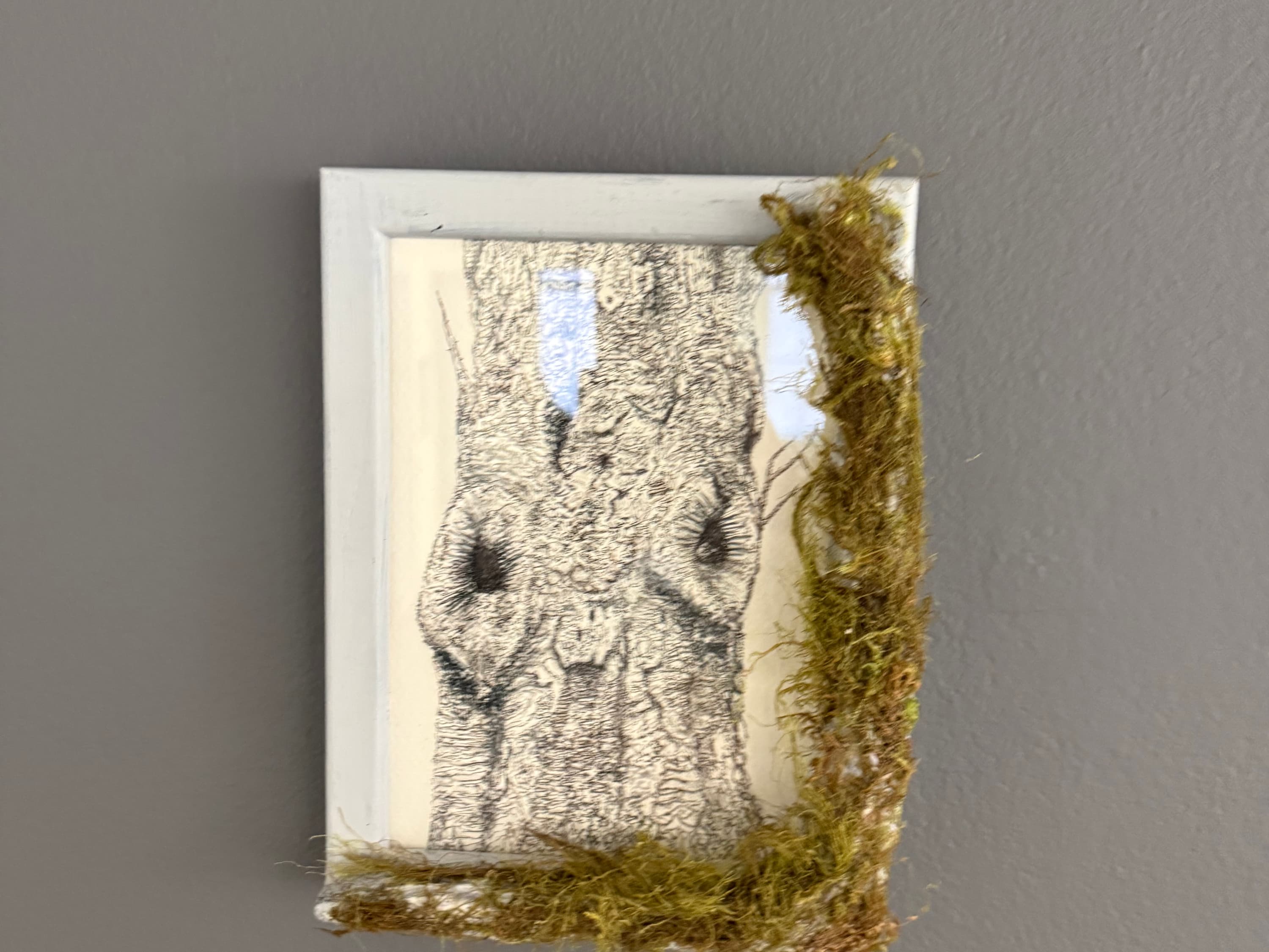 A Different Type of Treeptych 3